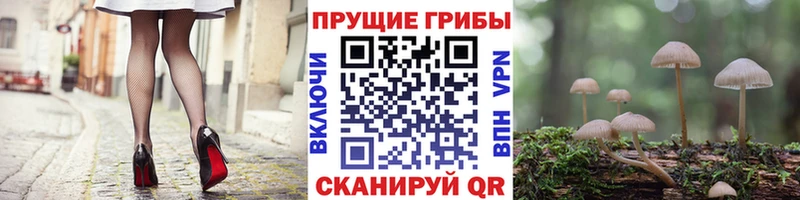 Галлюциногенные грибы мухоморы  ОМГ ОМГ онион  Лысково  где купить  